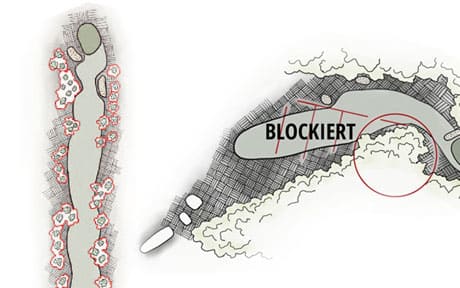 Der Blick des Architekten: Baumschule