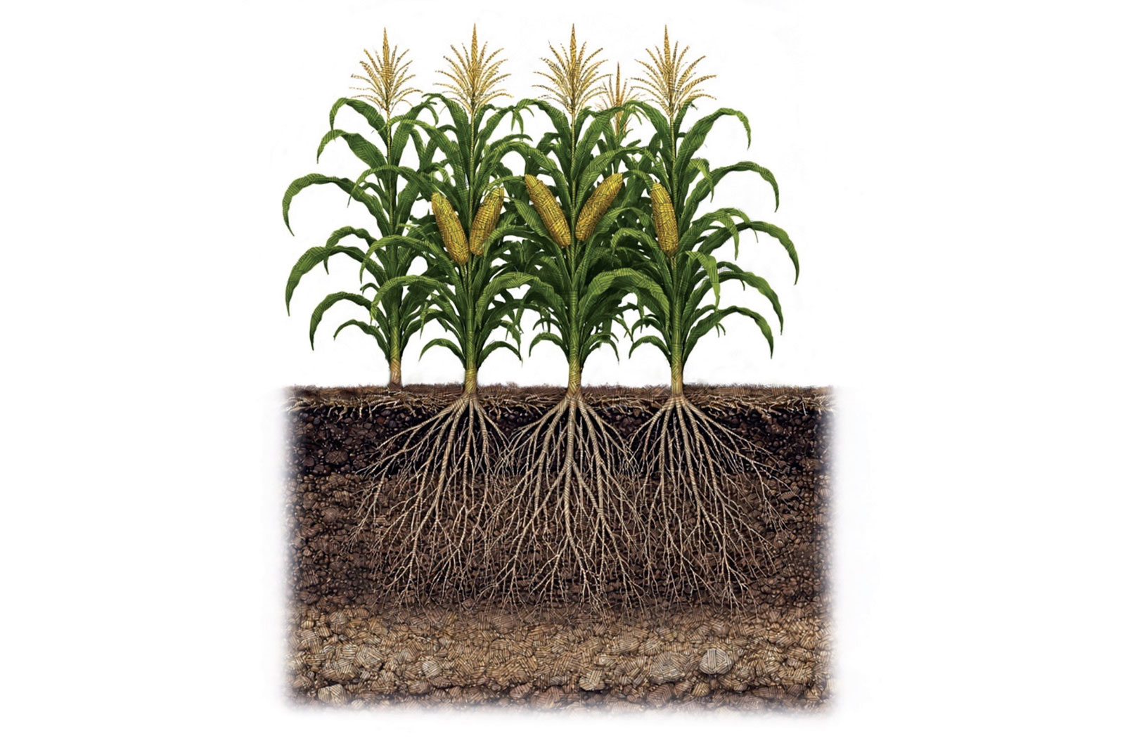 Der Blick des Architekten: